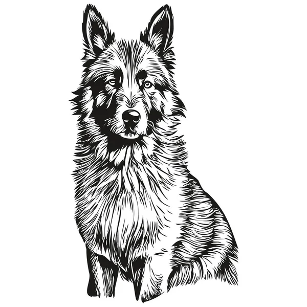 比利时Tervuren狗的人物形象 剪贴画黑白的艺术载体宠物 — 图库矢量图片