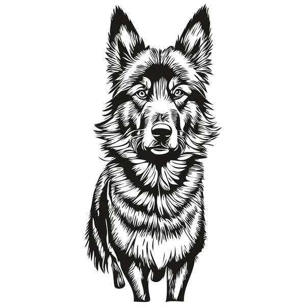 比利时Tervuren犬T恤印着黑白相间 可爱滑稽的轮廓画图矢量 — 图库矢量图片