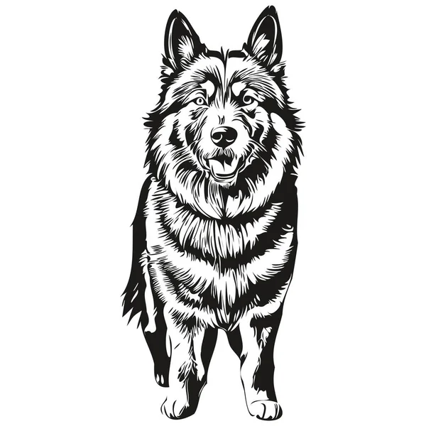 比利时Tervuren犬T恤印着黑白相间 可爱滑稽的轮廓素描矢量绘图 — 图库矢量图片