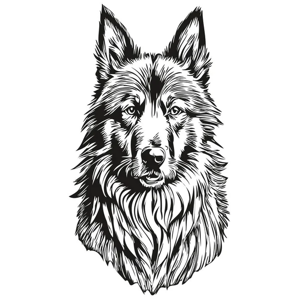 Belgian Tervuren Dog Vector Face Drawing Portrait Sketch Vintage Style — 스톡 벡터