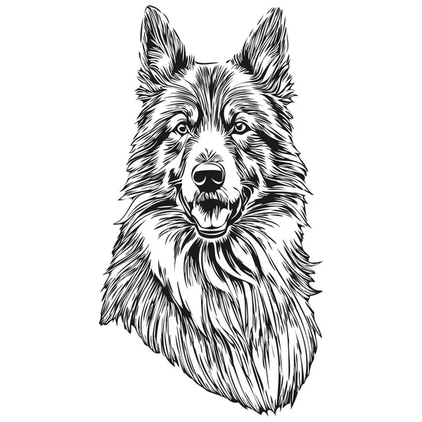 Belgian Tervuren Dog Vector Face Draw Portrait Sketch Vintage Style — 스톡 벡터