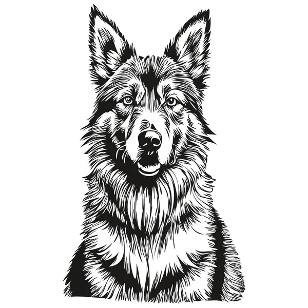 比利时Tervuren狗矢量图形 手绘铅笔动物线条图解 — 图库矢量图片