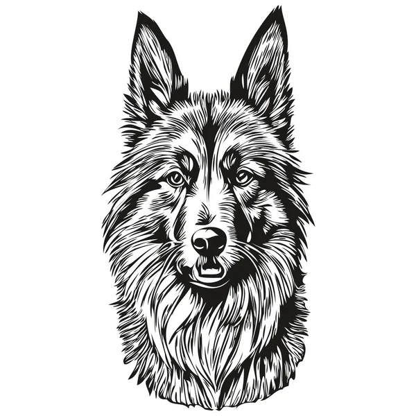 Belgiska Tervuren Hund Vektor Grafik Handritad Penna Djur Linje Illustration — Stock vektor