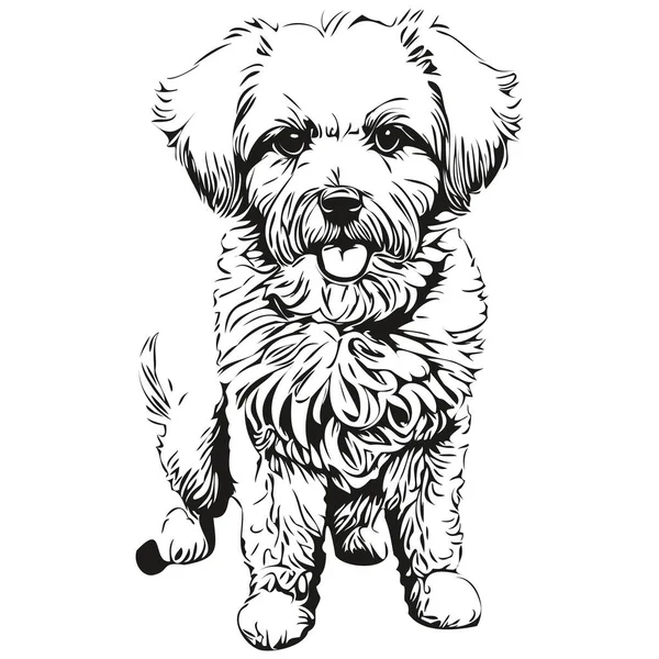 Bichons Frise Dog Ink Sketch Drawing Vintage Tattoo Shirt Print — Stock Vector