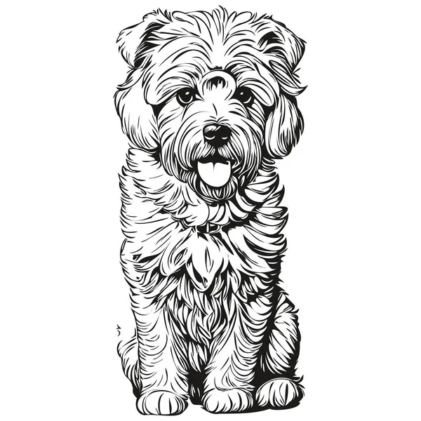Bichons Frise犬の顔ベクトルの肖像画 面白いアウトラインペットイラスト白の背景 — ストックベクタ