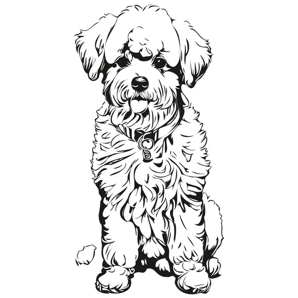 Bichons Frise Cão Lápis Mão Desenho Vetor Esboço Ilustração Pet — Vetor de Stock