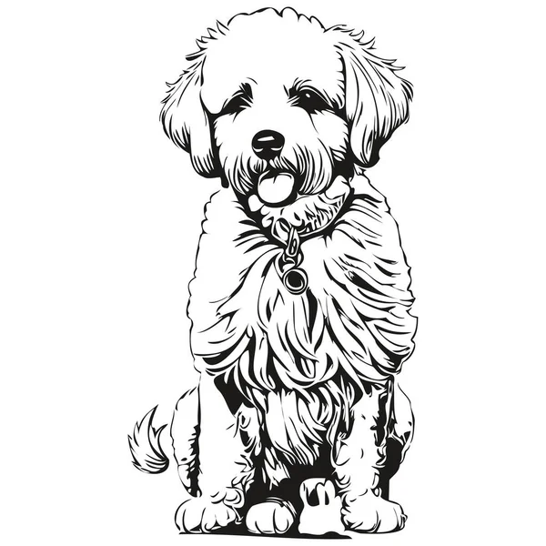 Bichons Frise Dog Vector Face Drawing Portrait Sketch Vintage Style — Stock Vector