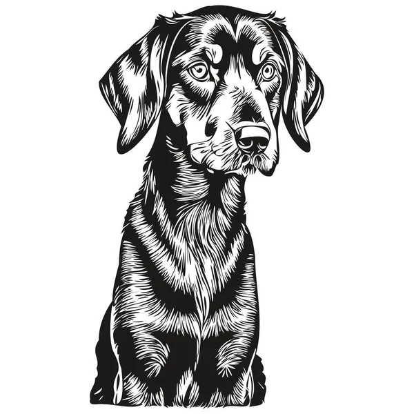 Svart Och Tan Coonhound Hund Svart Teckning Vektor Isolerad Ansikte — Stock vektor