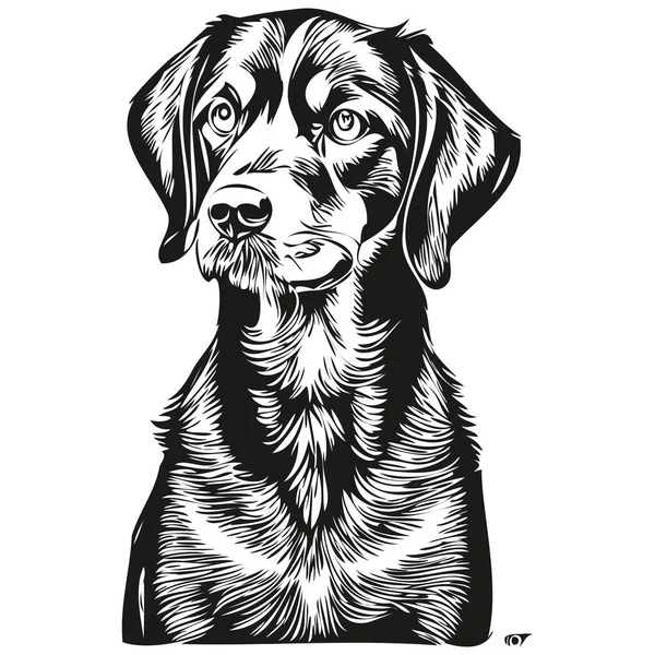 黒とタンコンハウンド犬黒の描画ベクトル 孤立した顔の絵のスケッチラインのイラストのスケッチの描画 — ストックベクタ