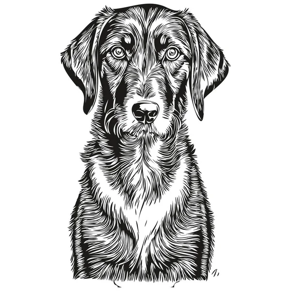 黒とタンコンハウンド犬の品種の線画 クリップアート動物の手の描画ベクトル黒と白の現実的な品種のペット — ストックベクタ