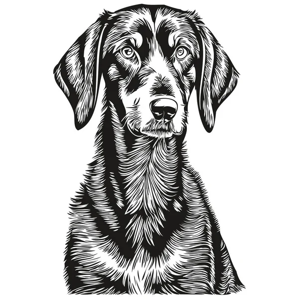 Negro Tan Coonhound Perro Raza Línea Dibujo Clip Arte Animal — Vector de stock