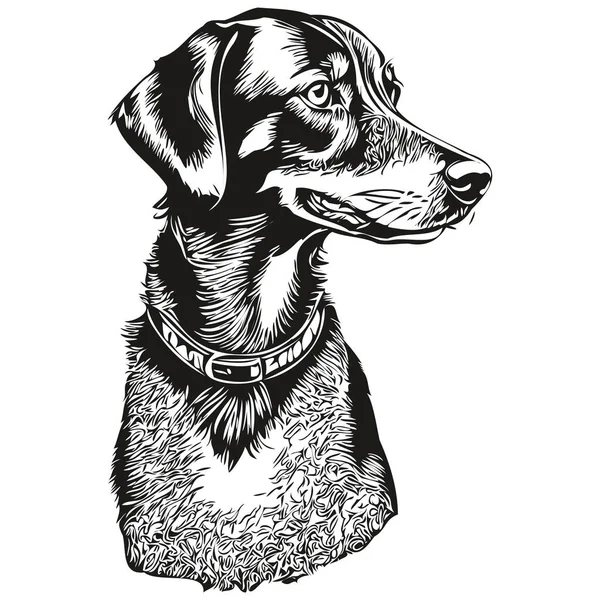 黒とタンコンハウンド犬の品種の線画 クリップアート動物の手の描画ベクトル黒と白 — ストックベクタ