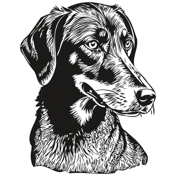 Černoch Opálení Coonhound Pes Kreslený Obličej Inkoust Portrét Černobílý Náčrt — Stockový vektor