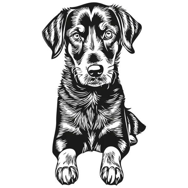 黒とタンコンハウンド犬刻まれたベクトルの肖像画 黒と白のスケッチ画で顔の漫画のヴィンテージの図面 — ストックベクタ