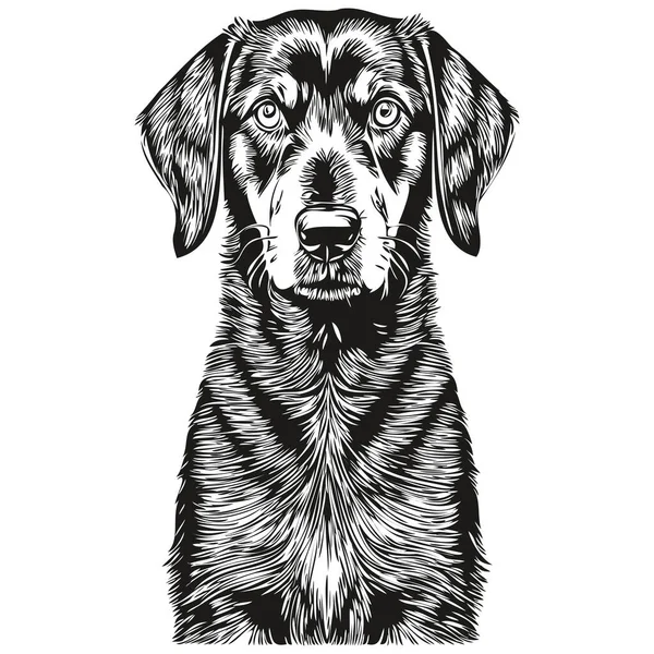 Black Tan Coonhound Dog Cartoon Face Ink Portrait Black White — Stock Vector