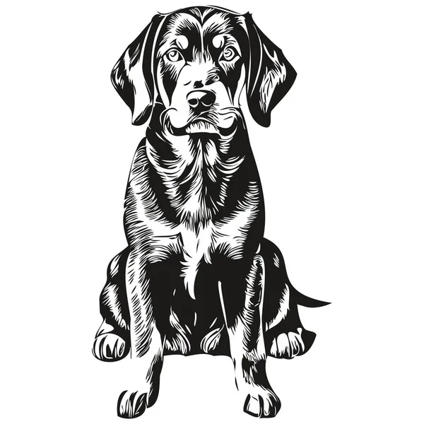 Czarny Tan Coonhound Pies Twarz Wektor Portret Zabawny Zarys Zwierzak — Wektor stockowy