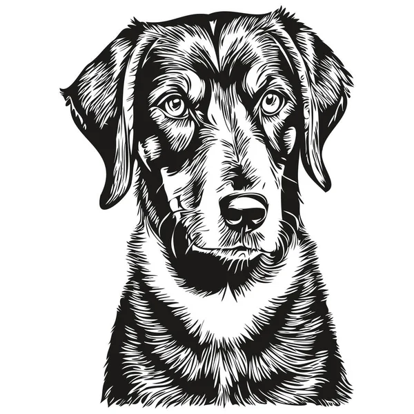 Black Tan Coonhound Dog Face Vector Portrait Funny Outline Pet — Stock Vector