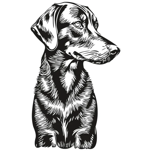 Chien Noir Tan Coonhound Dessiné Main Logo Dessin Noir Blanc — Image vectorielle