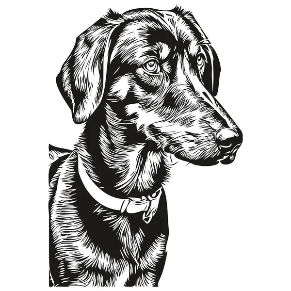 黒とタンコンハウンド犬の手描きのロゴは黒と白のラインアートペットのイラスト現実的なペットのシルエットを描く — ストックベクタ