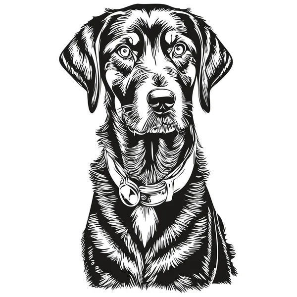 Черный Тан Coonhound Собака Нарисовал Логотип Рисунок Черно Белой Линии — стоковый вектор