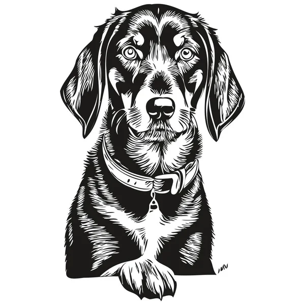 黒とタンコンハウンド犬の頭線の描画ベクトル 透明な背景の現実的な品種のペットと手描きイラスト — ストックベクタ