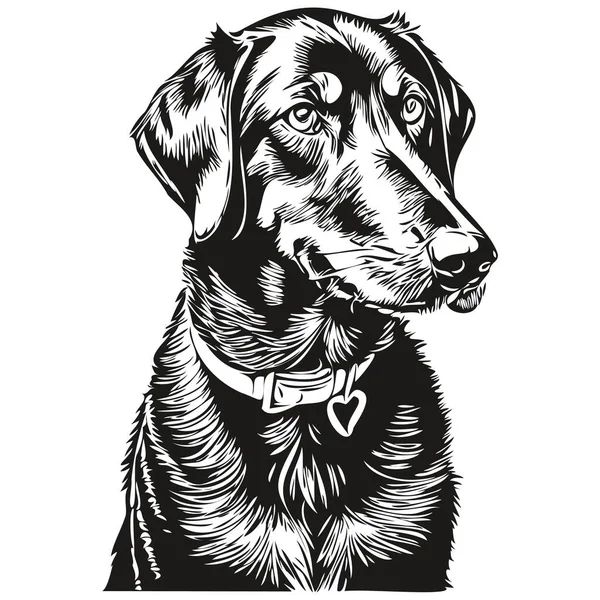 Μαύρο Και Tan Coonhound Σκυλί Επικεφαλής Γραμμή Σχέδιο Διάνυσμα Ζωγραφισμένα — Διανυσματικό Αρχείο