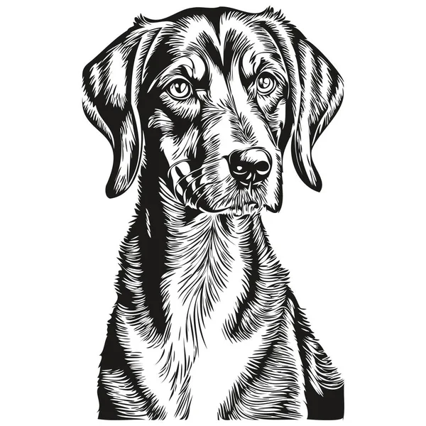 Black Tan Coonhound Dog Ink Sketch Drawing Vintage Tattoo Shirt — Stock Vector