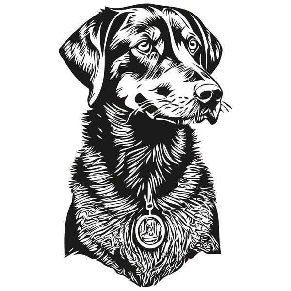 Chien Noir Bronzé Coonhound Dessin Isolé Sur Fond Blanc Tête — Image vectorielle