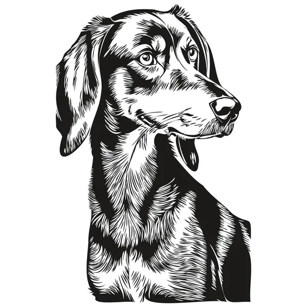 Dibujo Boceto Tinta Perro Coonhound Negro Tan Tatuaje Vintage Camiseta — Vector de stock