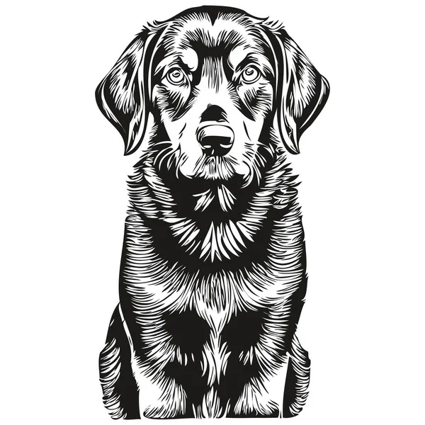 白の背景に黒とタンコンハウンド犬孤立図面 頭ペットラインイラスト現実的な品種ペット — ストックベクタ