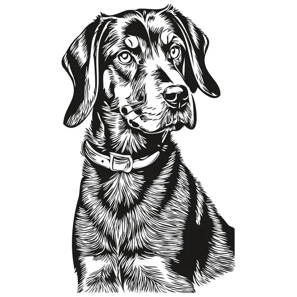 Черный Тан Coonhound Собака Логотип Вектор Черно Белый Винтажные Милые — стоковый вектор