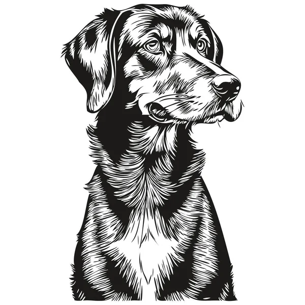 黒とタンコンハウンド犬の線のイラスト 黒と白のインクのスケッチの顔の肖像画ベクトル — ストックベクタ