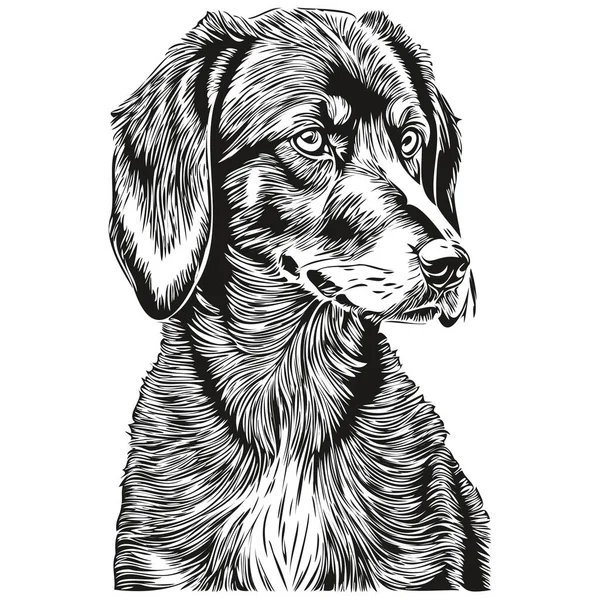 Negro Tan Coonhound Perro Logo Vector Blanco Negro Cabeza Perro — Vector de stock
