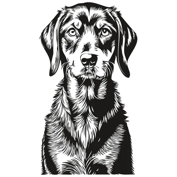 Μαύρο Και Tan Coonhound Σκυλί Λογότυπο Διάνυσμα Μαύρο Και Άσπρο — Διανυσματικό Αρχείο