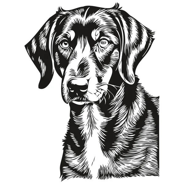Black Tan Coonhound Dog Outline Pencil Drawing Artwork Black Character — Stock Vector