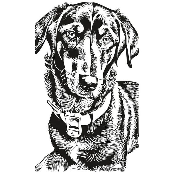 Chien Noir Tan Coonhound Contour Dessin Crayon Caractère Noir Sur — Image vectorielle