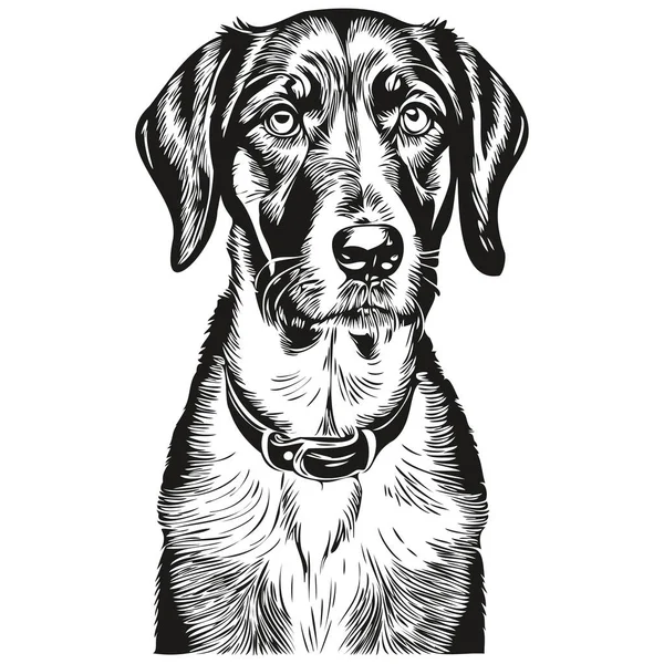 Negro Tan Coonhound Perro Contorno Lápiz Dibujo Ilustraciones Carácter Negro — Vector de stock