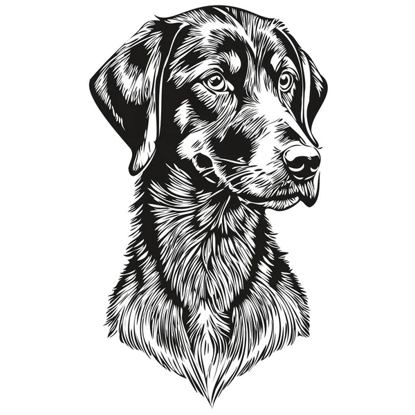 Siyah Tan Coonhound Köpek Ana Hatları Kalem Çizimi Siyah Karakter — Stok Vektör