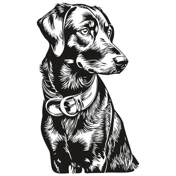Черный Тан Coonhound Собака Карандаш Ручной Рисунок Вектор Набросок Иллюстрации — стоковый вектор