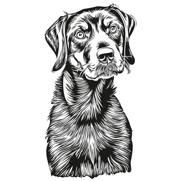Black Tan Coonhound Dog Pencil Hand Drawing Vector Outline Illustration - Stok Vektor