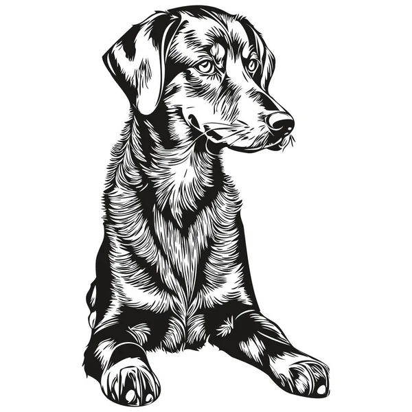 Czarny Tan Coonhound Pies Zwierzę Sylwetka Zwierzę Linia Ilustracja Ręcznie — Wektor stockowy