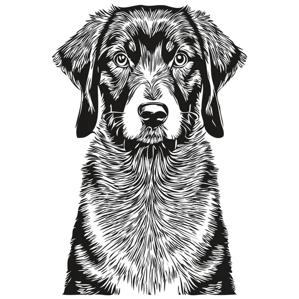 Siluet Hewan Peliharaan Anjing Coonhound Hitam Dan Tan Gambar Tangan - Stok Vektor