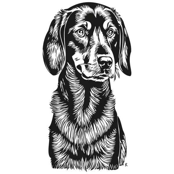 Svart Och Tan Coonhound Hund Sällskapsdjur Silhuett Djur Linje Illustration — Stock vektor