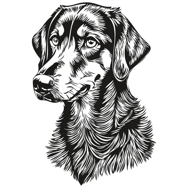 黒とタンコンハウンド犬のペットのシルエット 動物のラインイラストの手が黒と白のベクトルを描画 — ストックベクタ