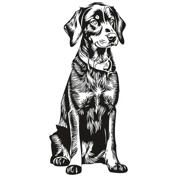 黑狗和坦狗宠物素描图解 黑白雕刻矢量逼真宠物轮廓 — 图库矢量图片