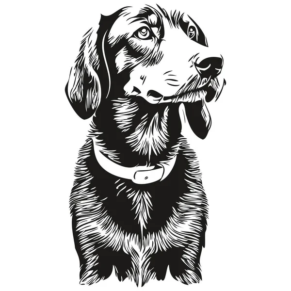 Black Tan Coonhound Dog Pet Sketch Illustration Black White Engraving — Stock Vector