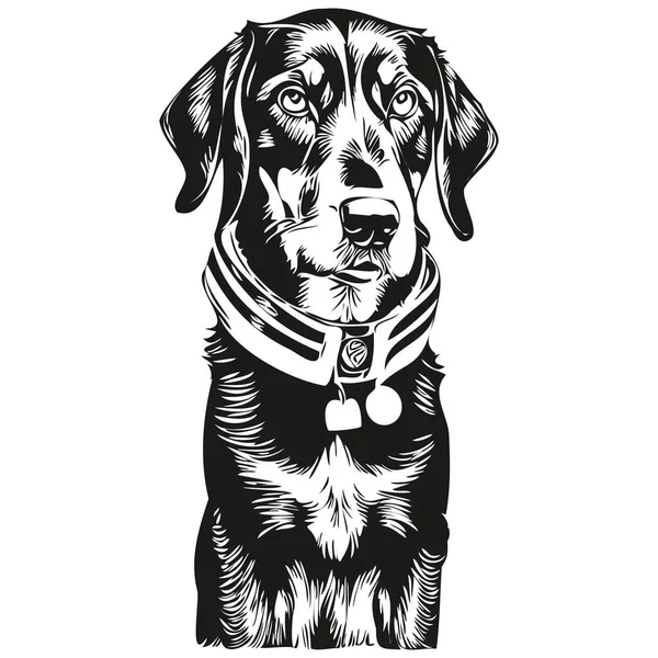 Black Tan Coonhound Retrato Cão Vetor Desenho Mão Animal Para — Vetor de Stock
