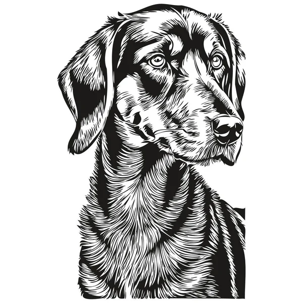 矢量中的黑狗和猎狗肖像画 纹身用的动物手绘或T恤衫图解 — 图库矢量图片