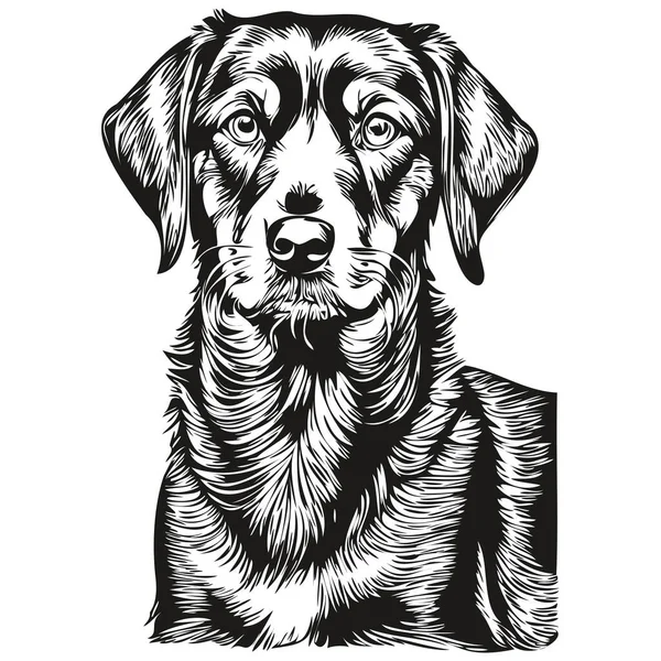 黒とタンコンハウンド犬ベクトルで現実的な鉛筆画 犬の顔黒と白の現実的な品種のペットのラインアートイラスト — ストックベクタ