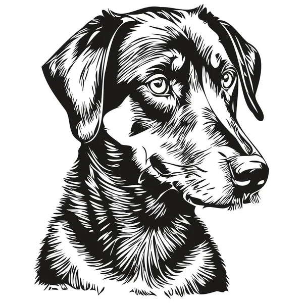 Negro Tan Coonhound Perro Realista Mascota Ilustración Dibujo Mano Cara — Archivo Imágenes Vectoriales